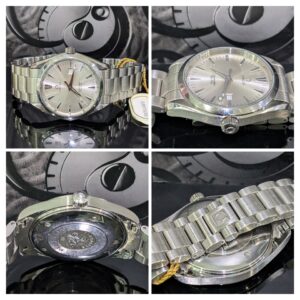 OMEGA AQUA TERRA